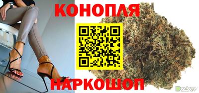 ешки Будённовск