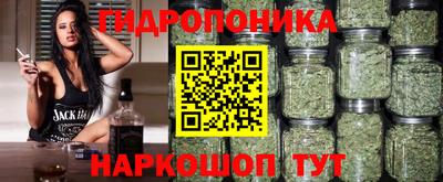 ешки Будённовск