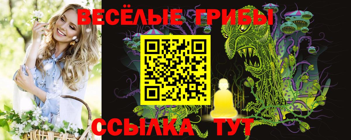 Псилоцибиновые грибы Psilocybe  Вход с VPN  Тюмень 