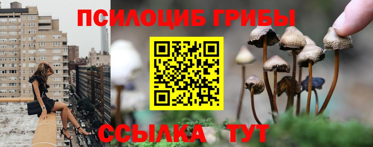Галлюциногенные грибы Magic Shrooms Тюмень